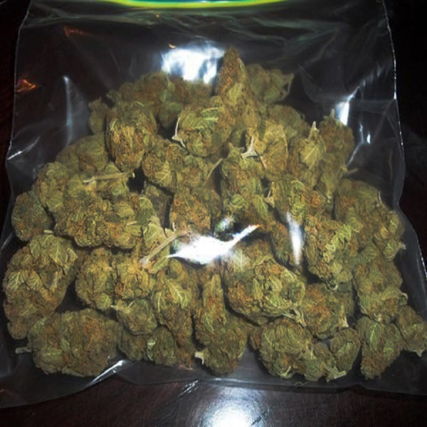 Smell Proof Packaging Bags | Custom Cannabis Packaging