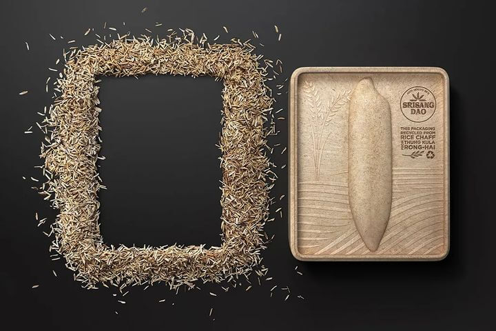 creative rice packaging